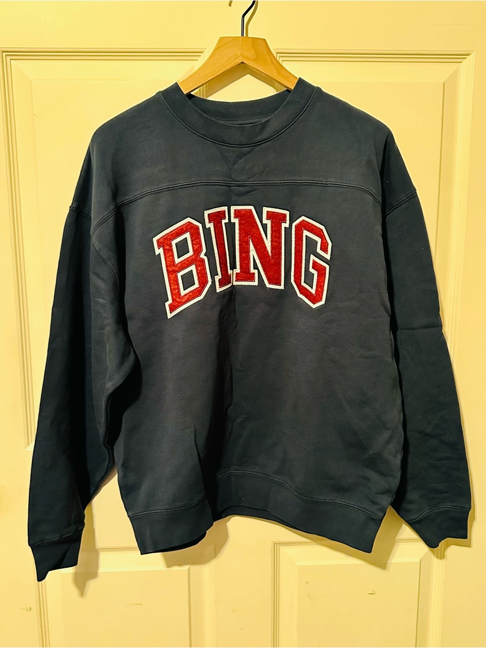 Anine Bing | Sweatshirt | Anine Bing Trenton Sweatshirt - Picture 3 of 10